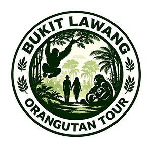 Bukit Lawang Orang Utan Tour & Treeking