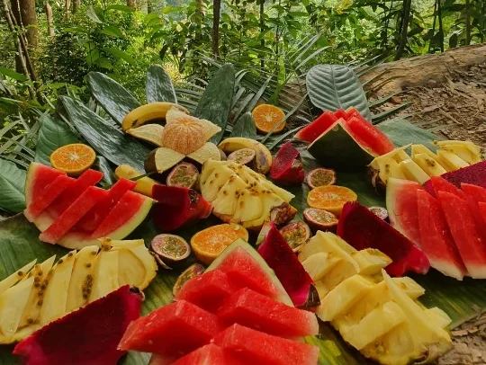 Tropical fruit break on the Bukit Lawang trek Fresh tropical fruit served on banana leaves during a Bukit Lawang jungle trek