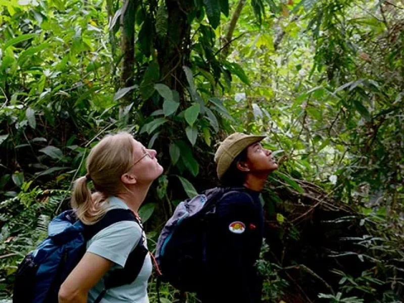 Travellers on an orangutan trekking trail in Bukit Lawang