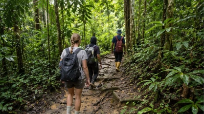Rainforest trail conditions near Bukit Lawang during a clearer day