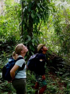 Travellers on an orangutan trekking trail in Bukit Lawang