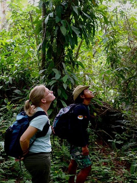 Travellers on an orangutan trekking trail in Bukit Lawang