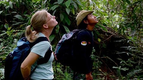 sumatra orangutan tour treking